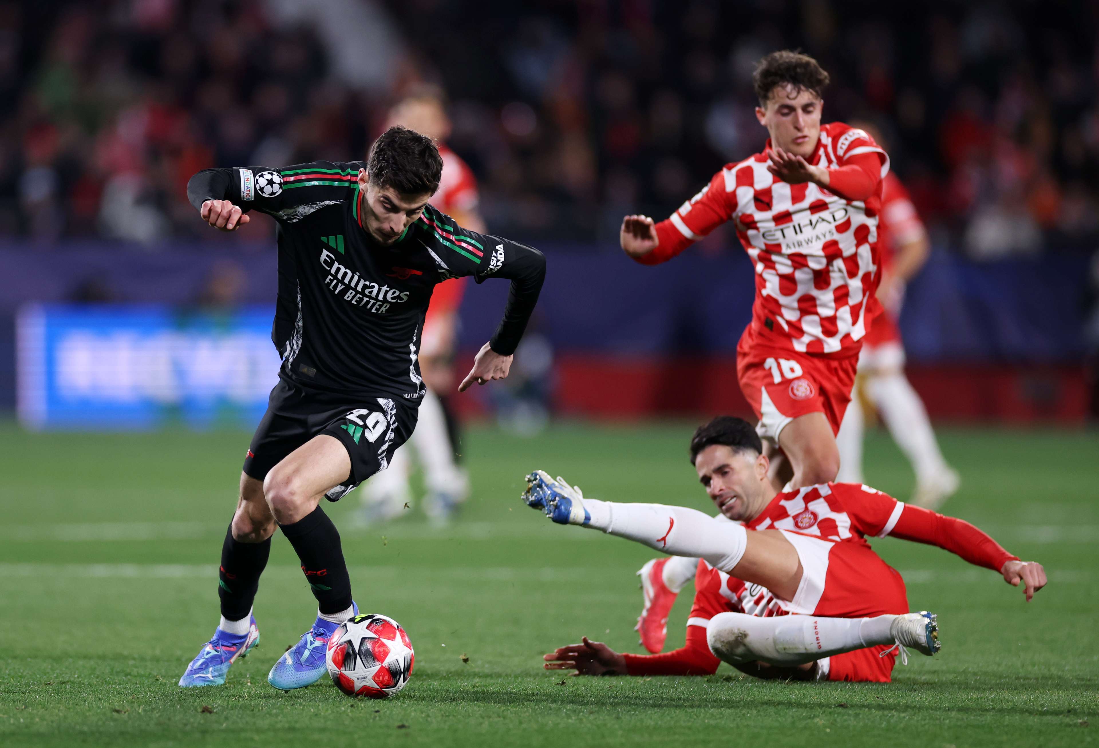 澳大利亚队 澳大利亚队