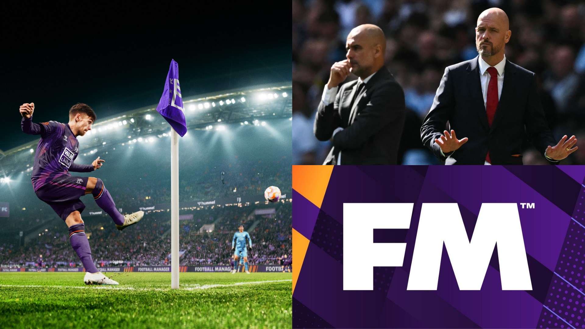 坦人基本权 坦人基本权