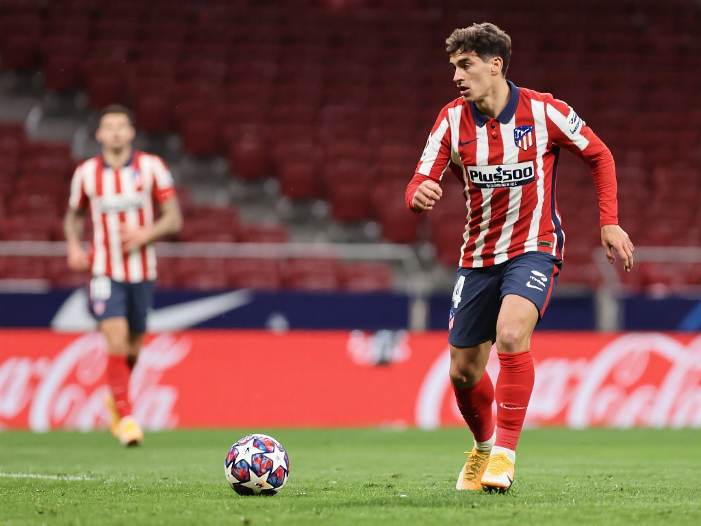 家队有机会 家队有机会